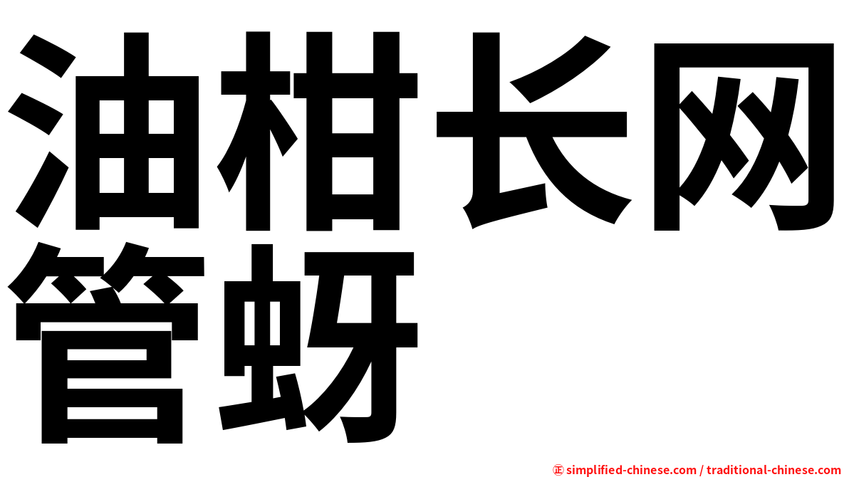 油柑长网管蚜