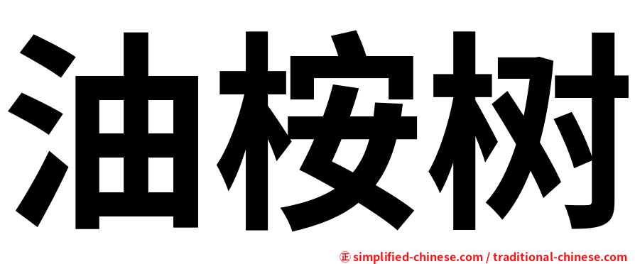 油桉树
