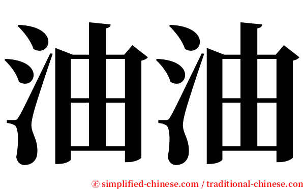 油油 serif font
