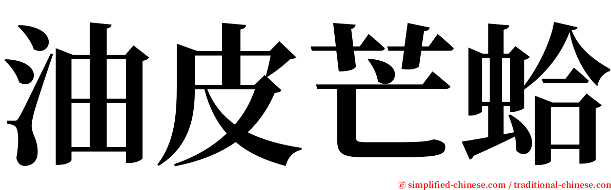 油皮芒蛤 serif font