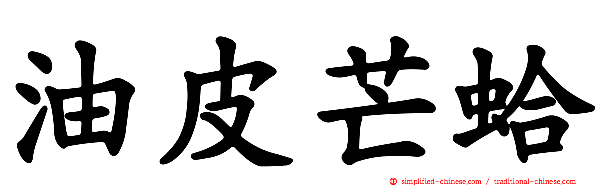 油皮芒蛤