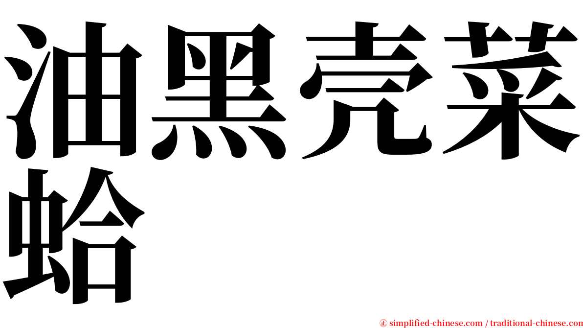 油黑壳菜蛤 serif font