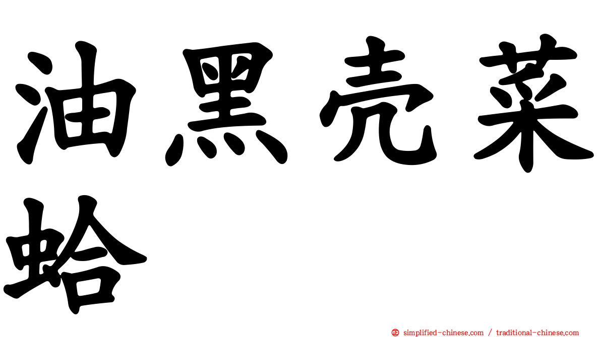 油黑壳菜蛤