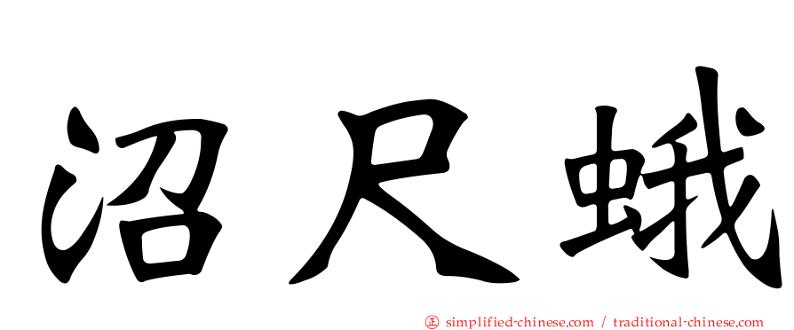 沼尺蛾