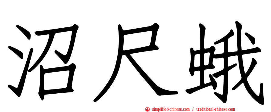 沼尺蛾