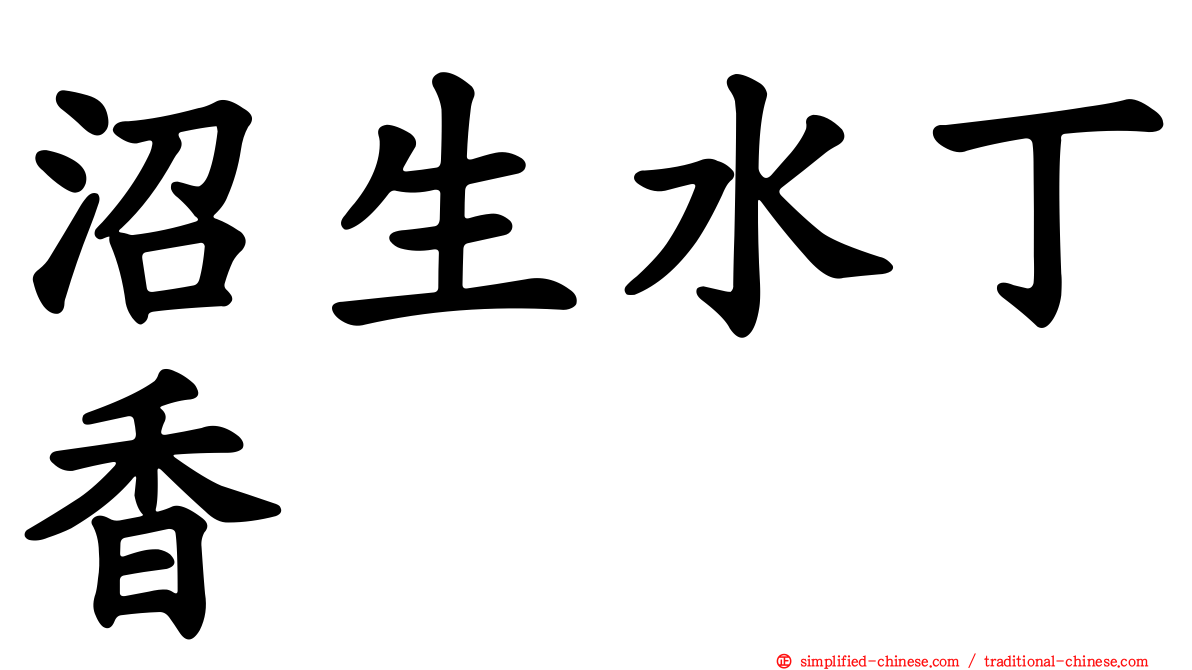 沼生水丁香