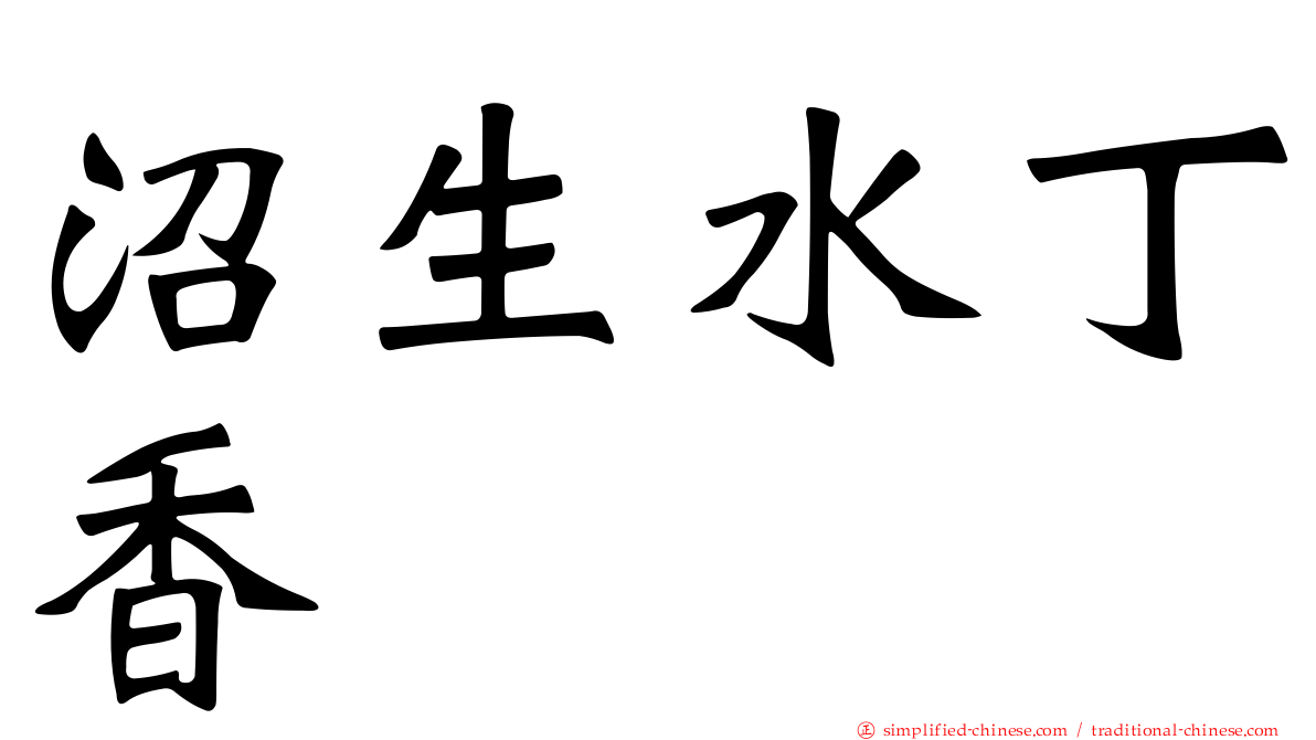 沼生水丁香