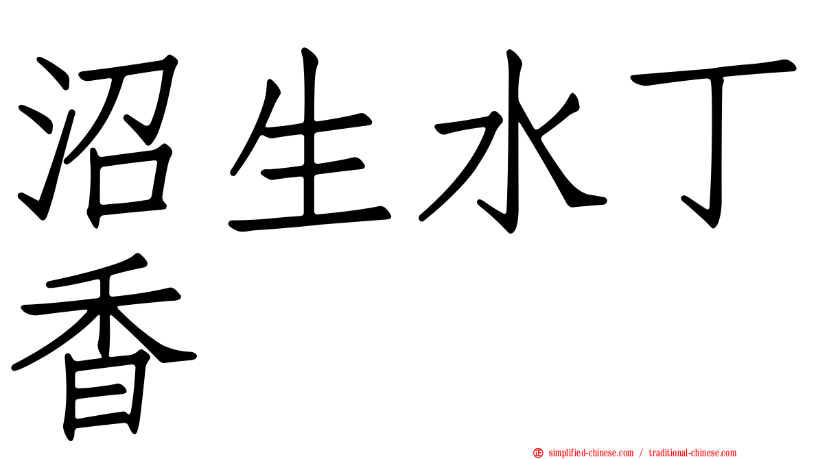 沼生水丁香