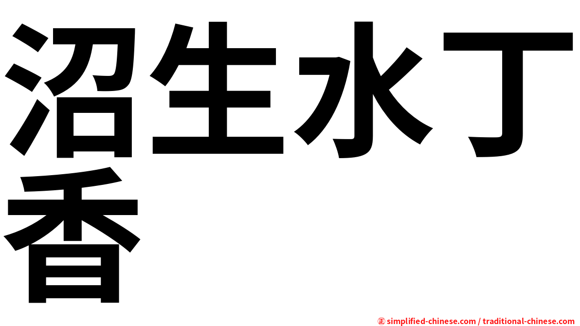 沼生水丁香