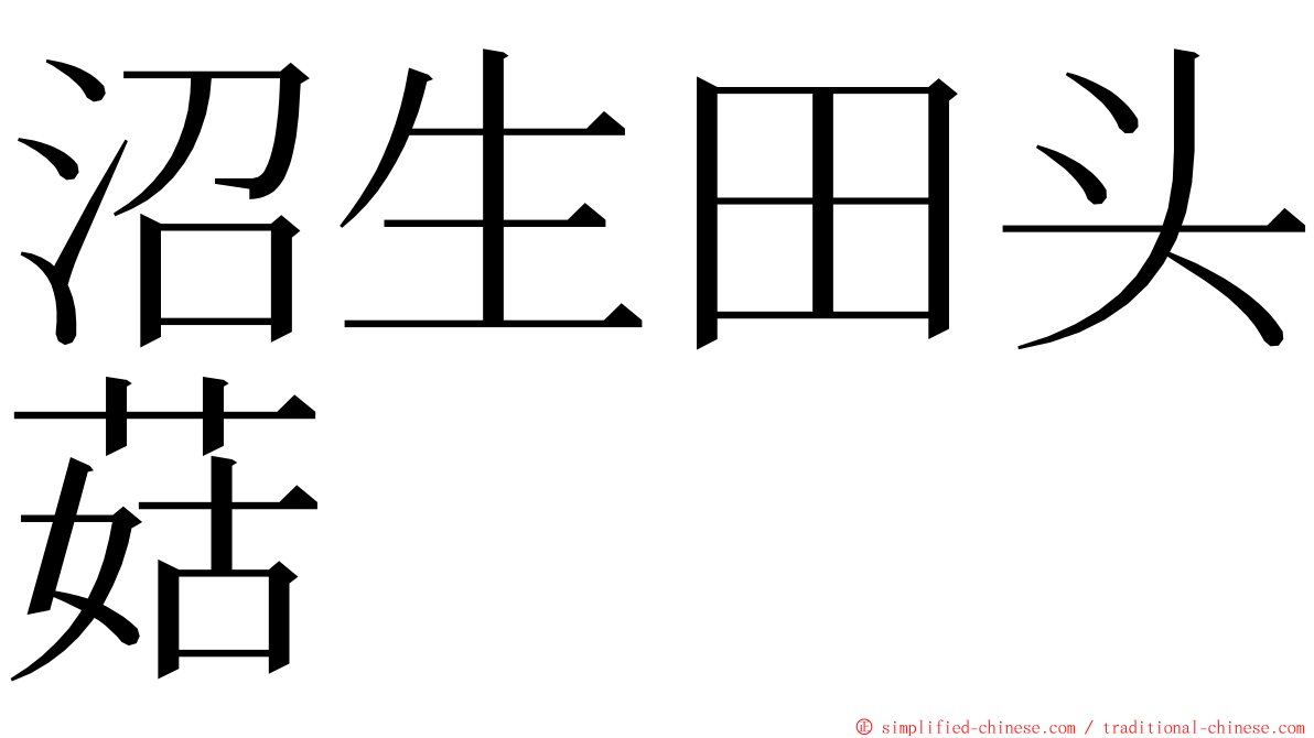 沼生田头菇 ming font