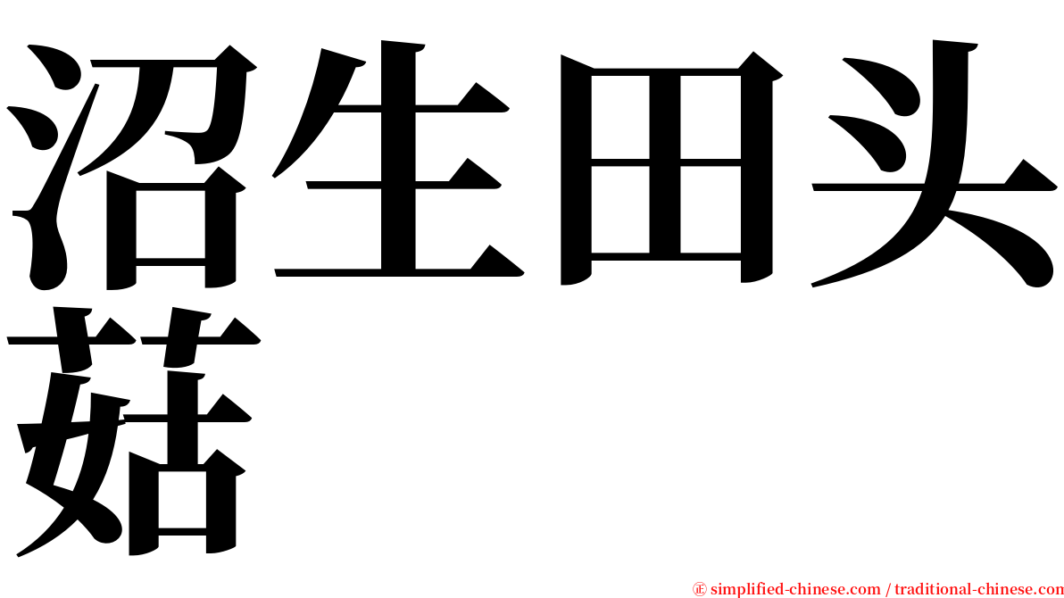 沼生田头菇 serif font