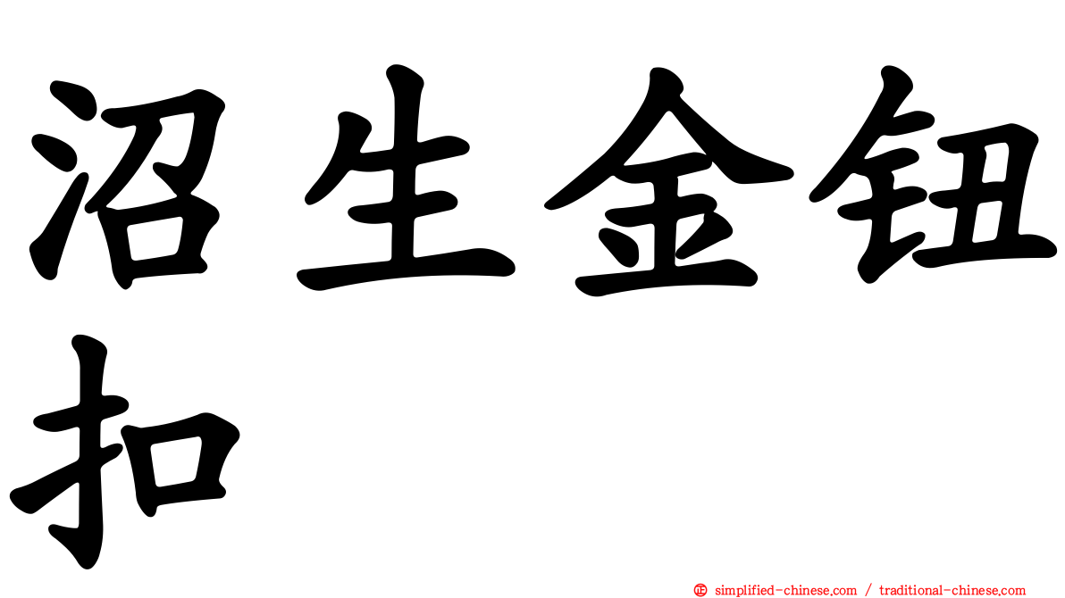 沼生金钮扣