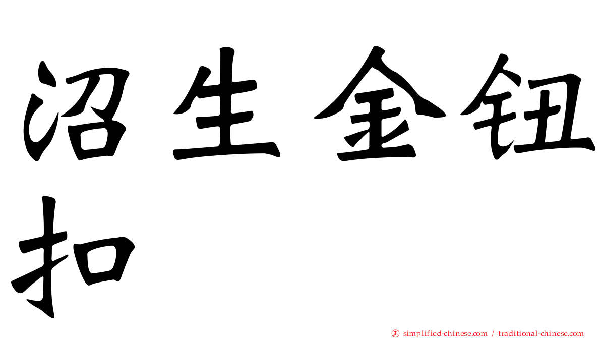 沼生金钮扣