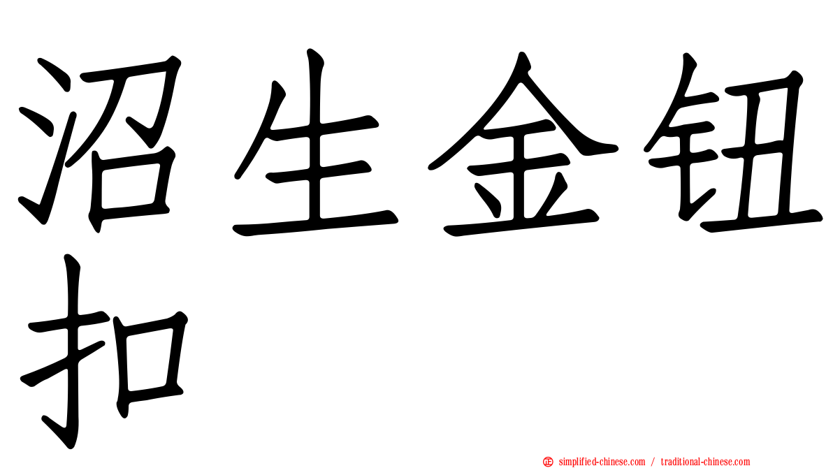 沼生金钮扣
