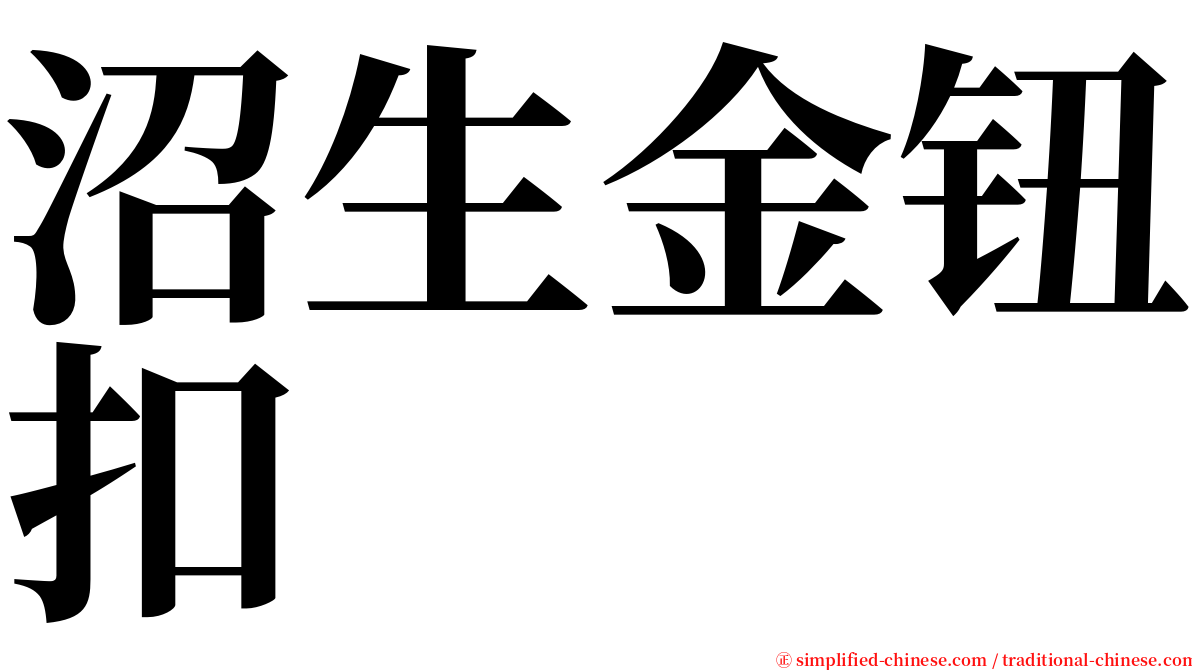 沼生金钮扣 serif font