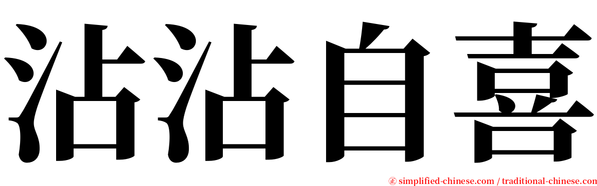 沾沾自喜 serif font