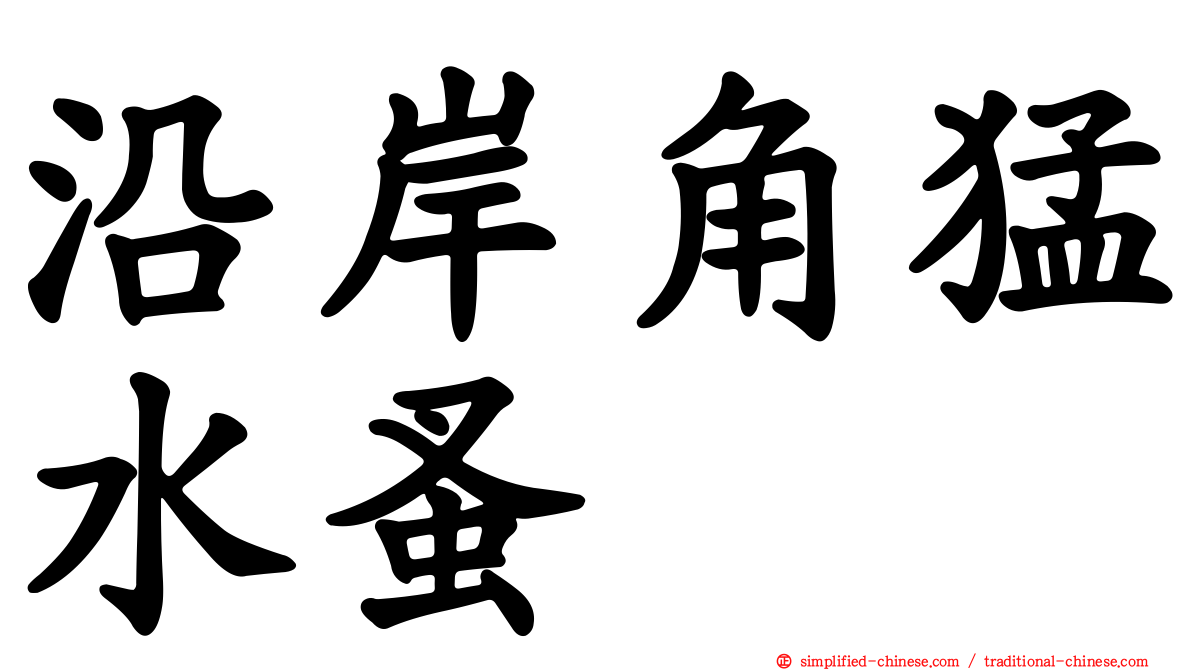 沿岸角猛水蚤