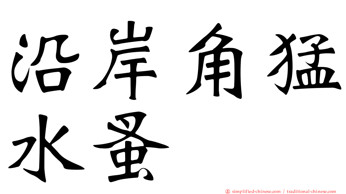 沿岸角猛水蚤