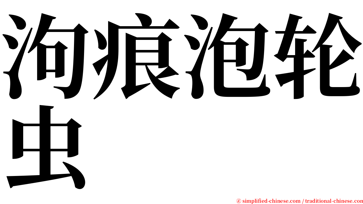 泃痕泡轮虫 serif font