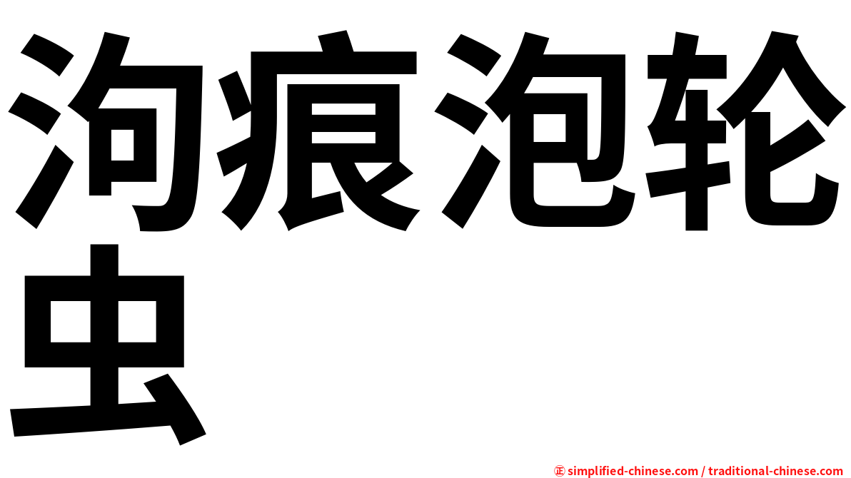 泃痕泡轮虫