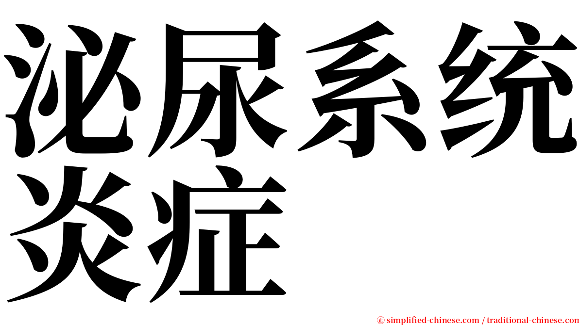 泌尿系统炎症 serif font