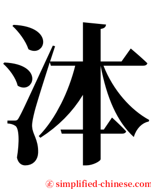 泍 serif font