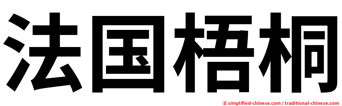 法国梧桐