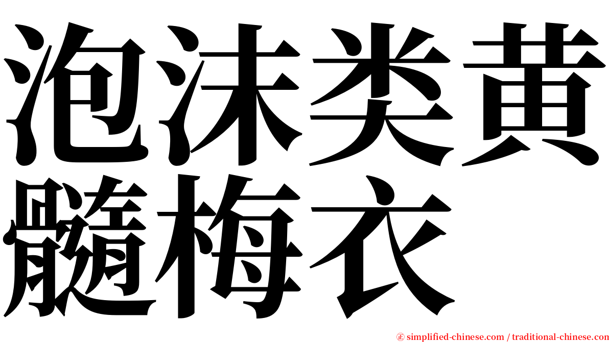 泡沫类黄髓梅衣 serif font