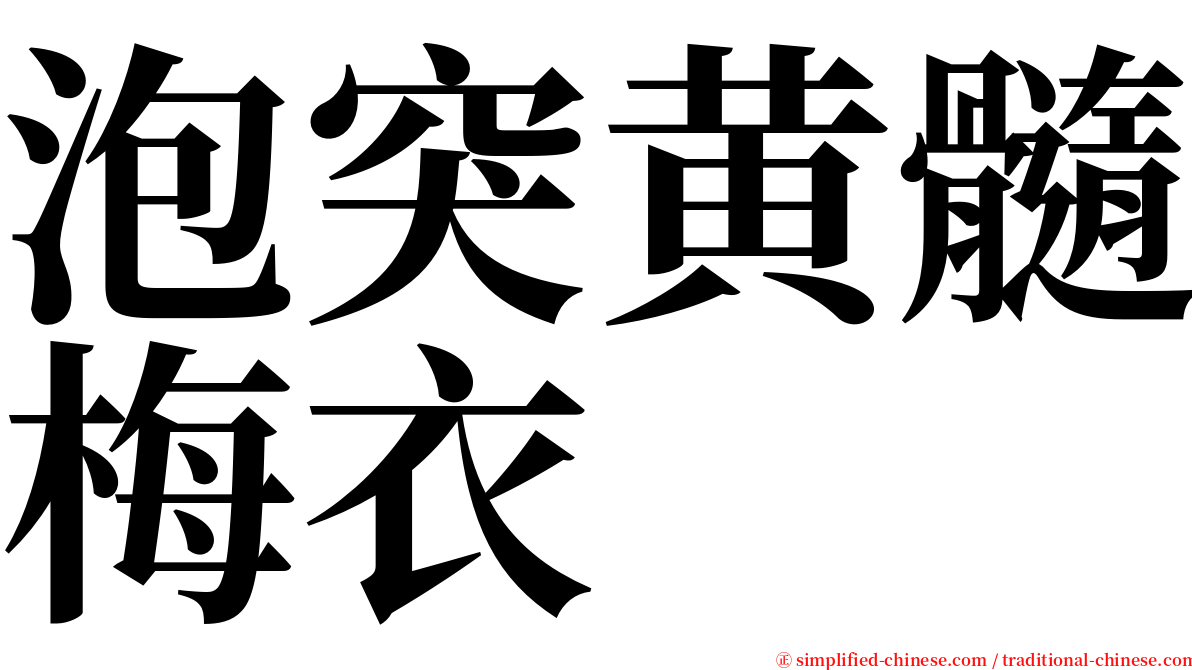 泡突黄髓梅衣 serif font