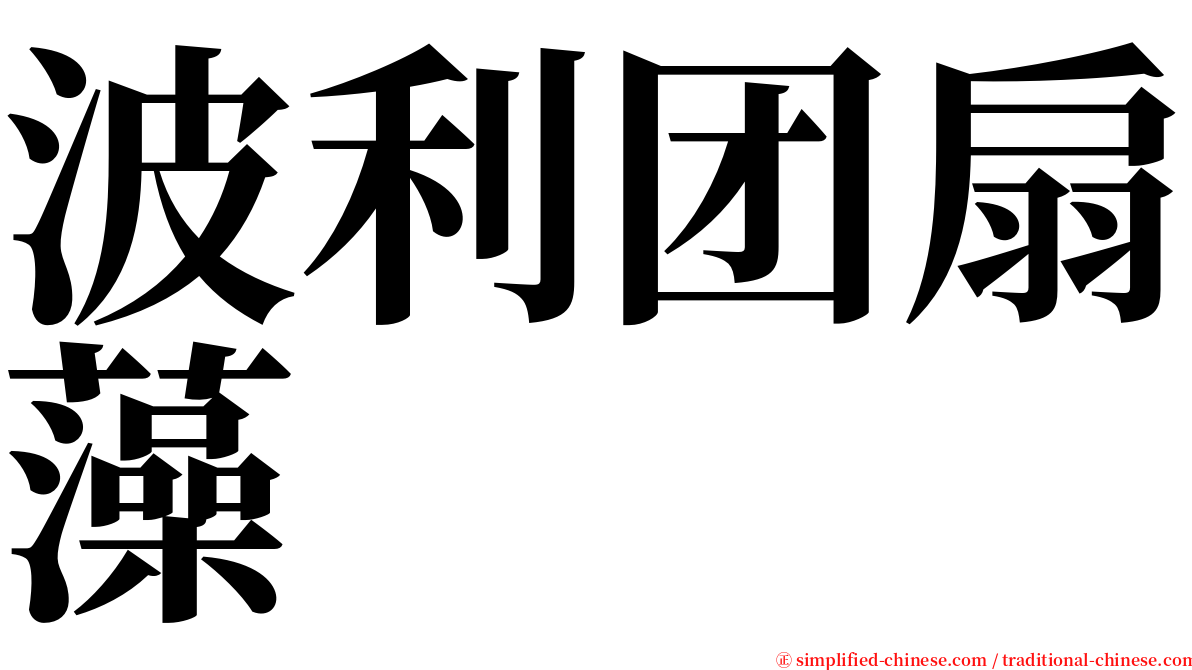 波利团扇藻 serif font