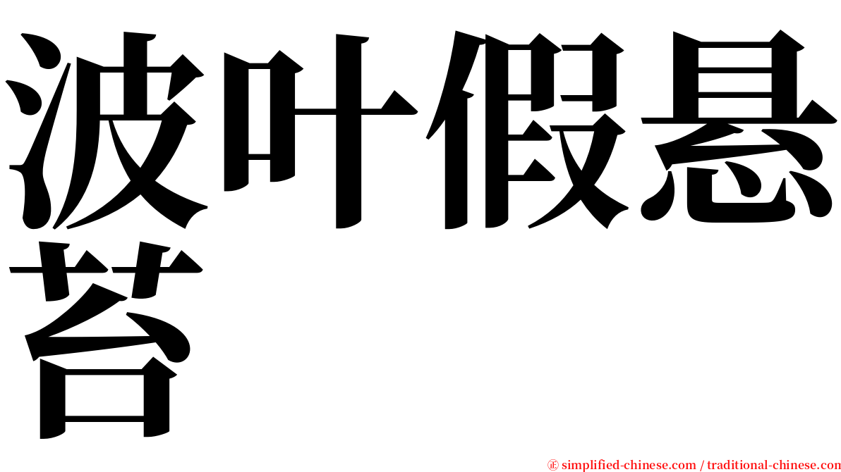 波叶假悬苔 serif font