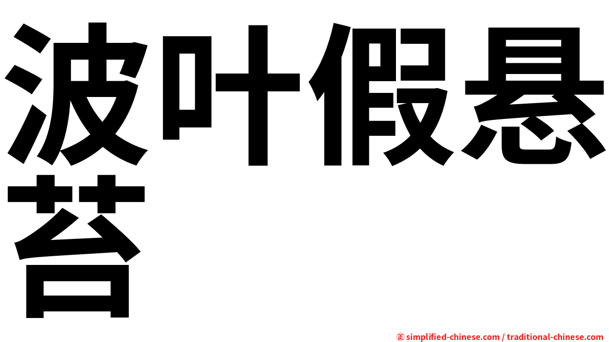 波叶假悬苔