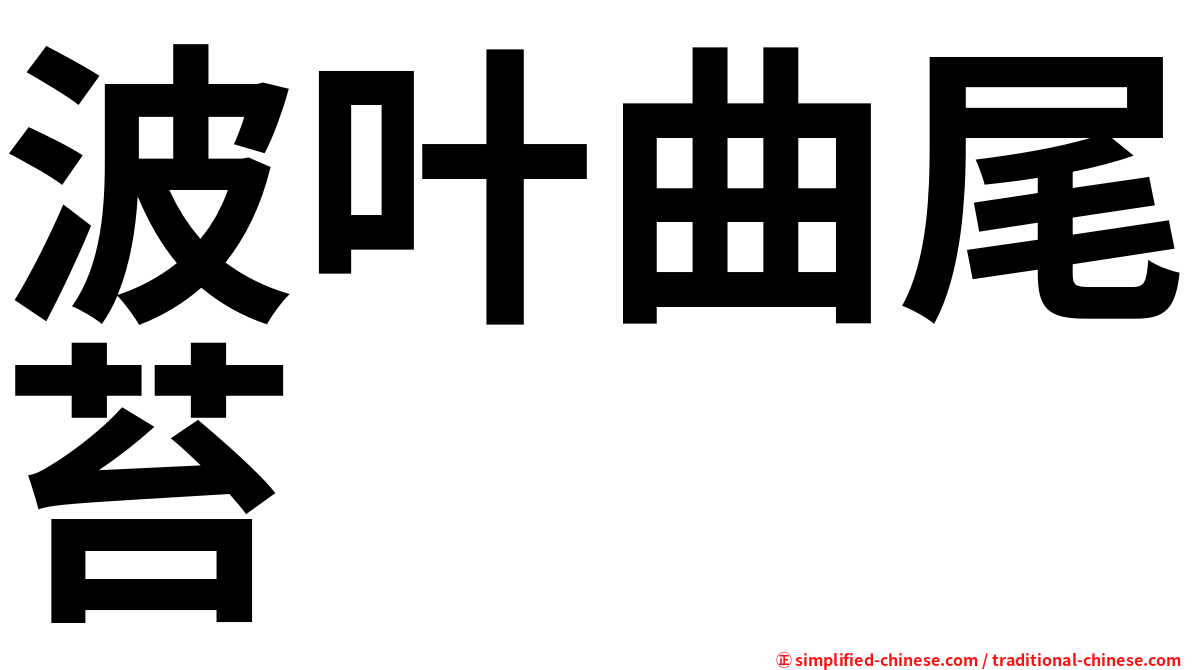 波叶曲尾苔