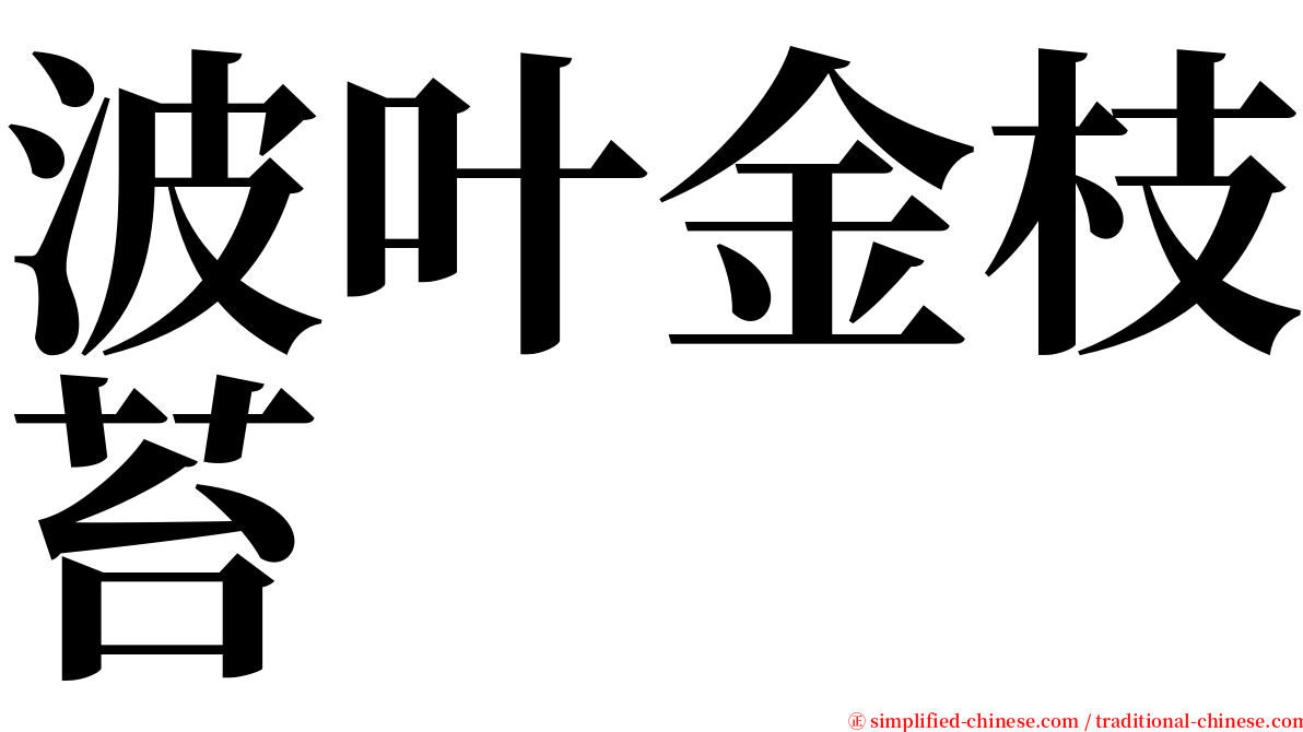 波叶金枝苔 serif font