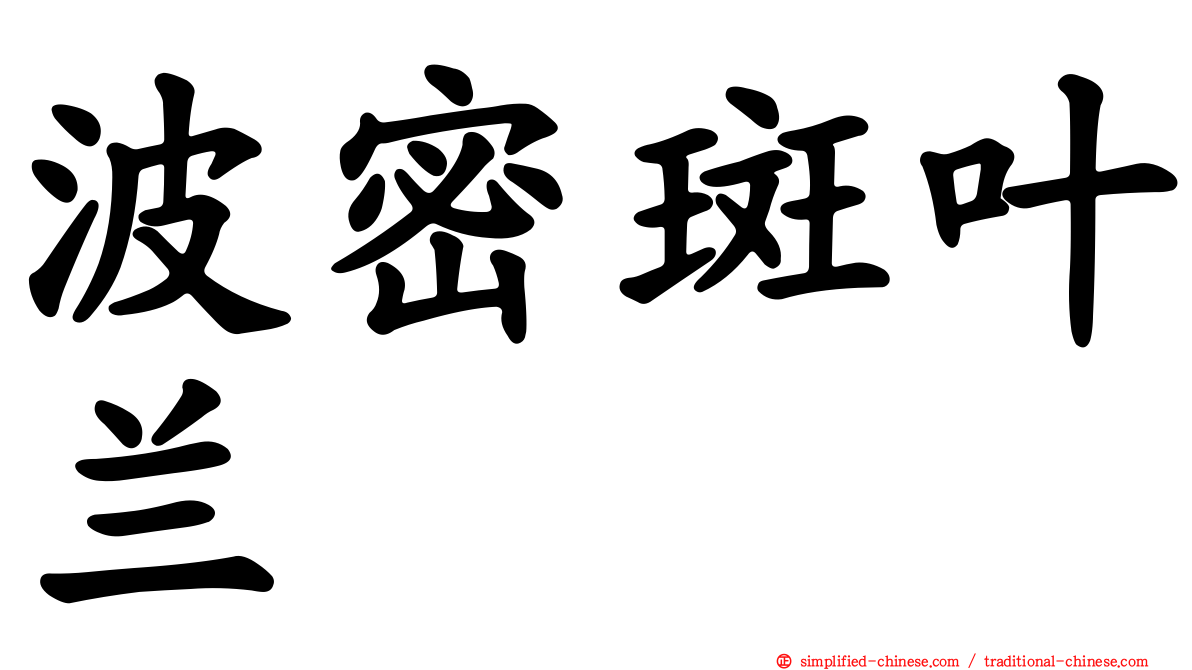 波密斑叶兰