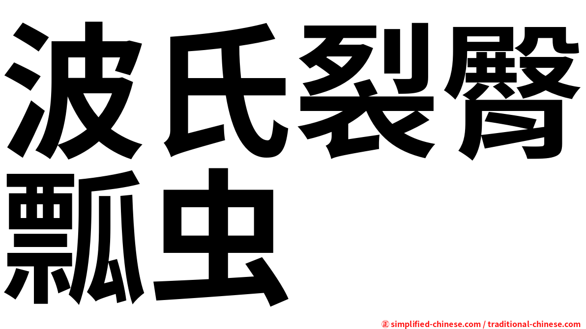 波氏裂臀瓢虫