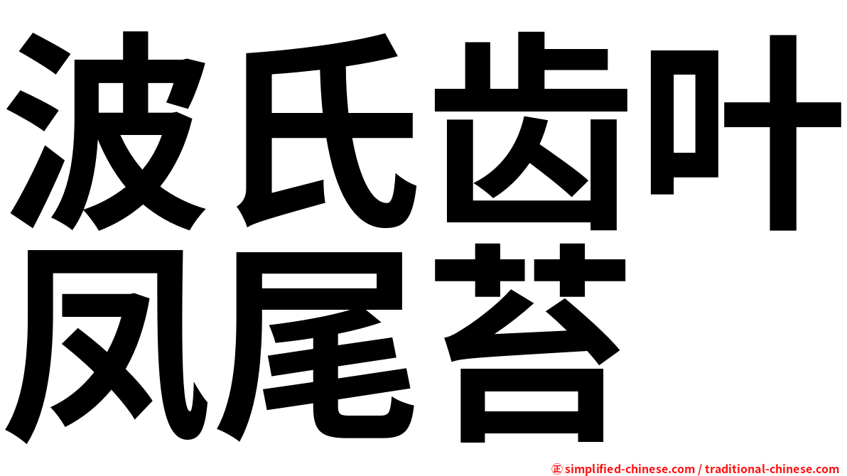 波氏齿叶凤尾苔