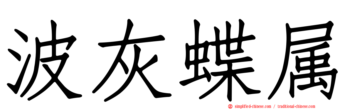 波灰蝶属