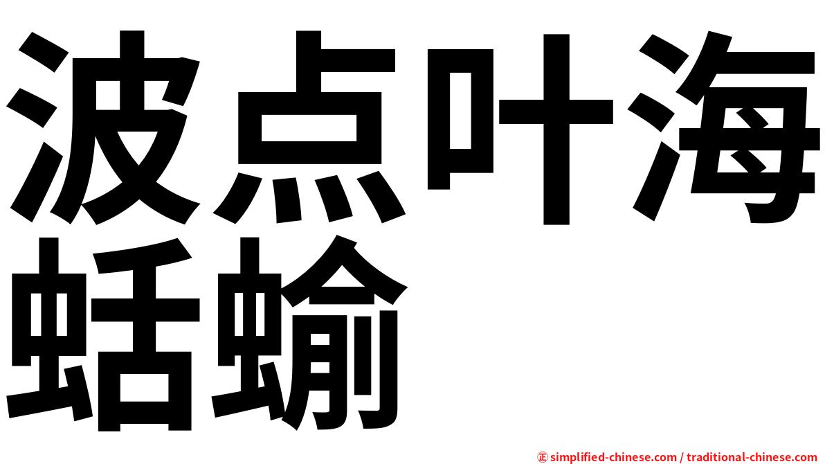 波点叶海蛞蝓