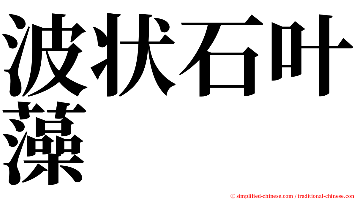波状石叶藻 serif font