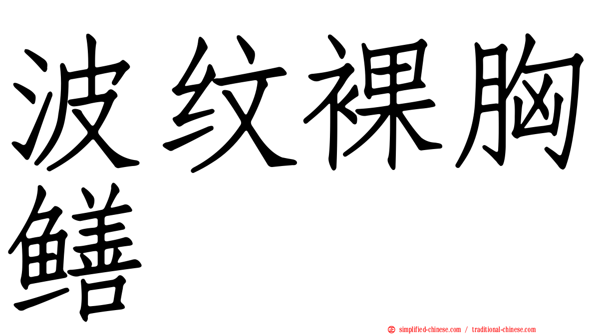 波纹裸胸鳝