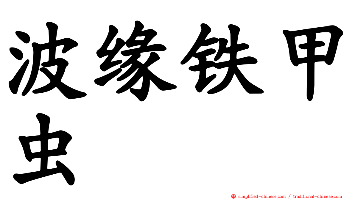 波缘铁甲虫