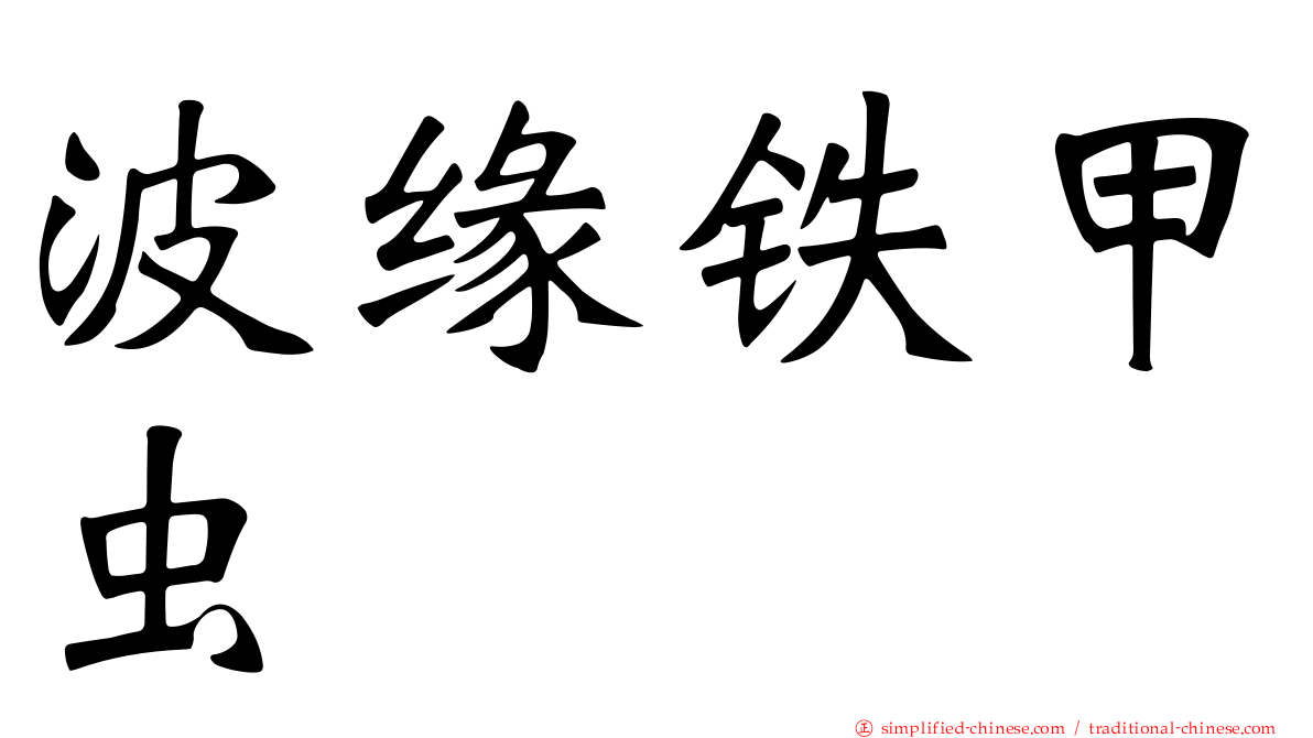 波缘铁甲虫