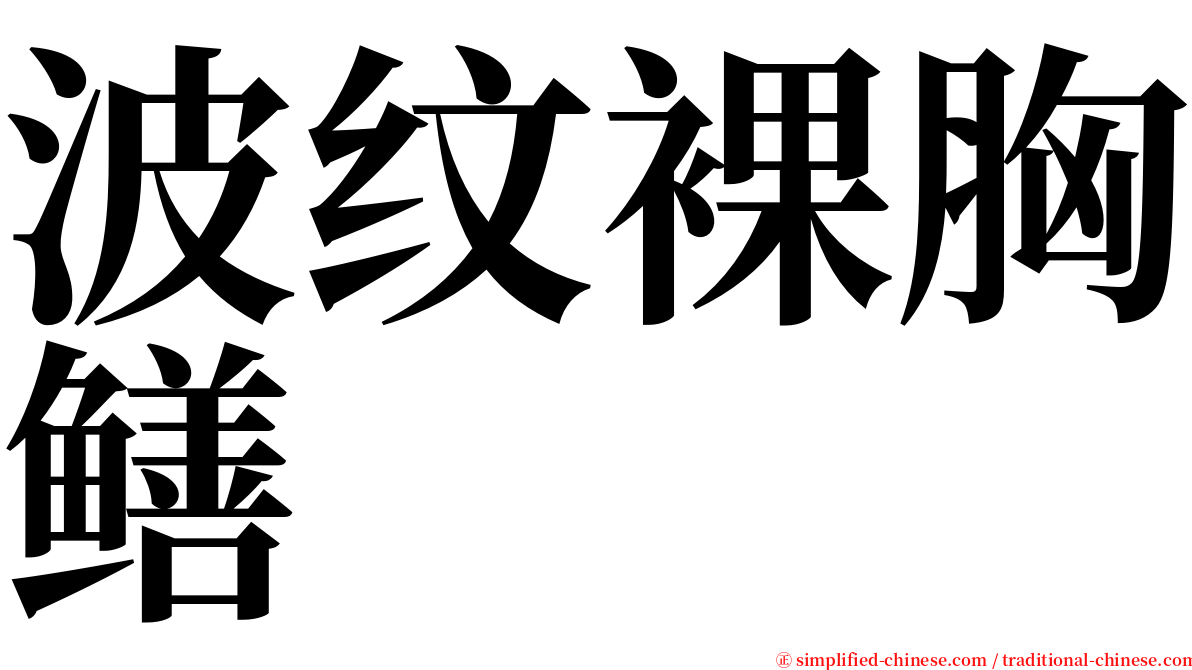 波纹裸胸鳝 serif font