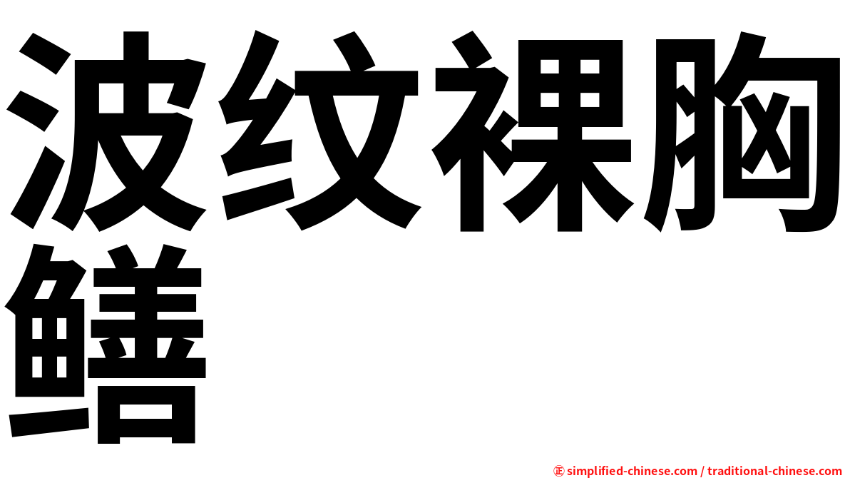 波纹裸胸鳝