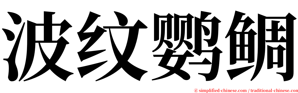 波纹鹦鲷 serif font