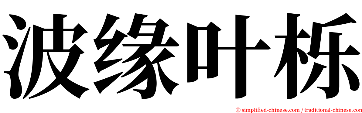 波缘叶栎 serif font
