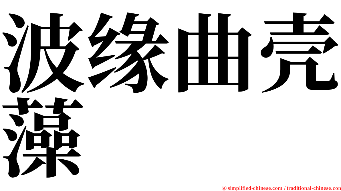波缘曲壳藻 serif font