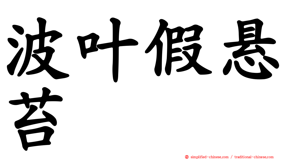 波叶假悬苔