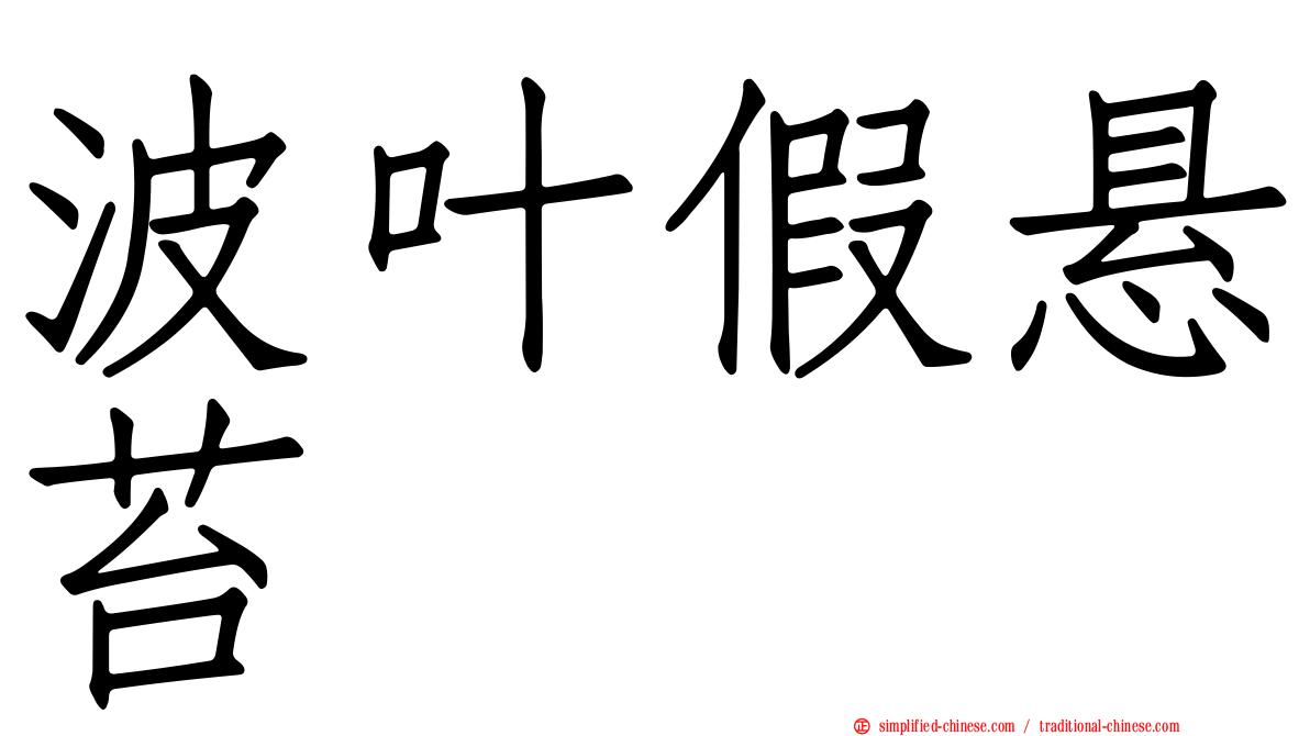 波叶假悬苔